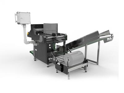 Automatic Bagging Machine